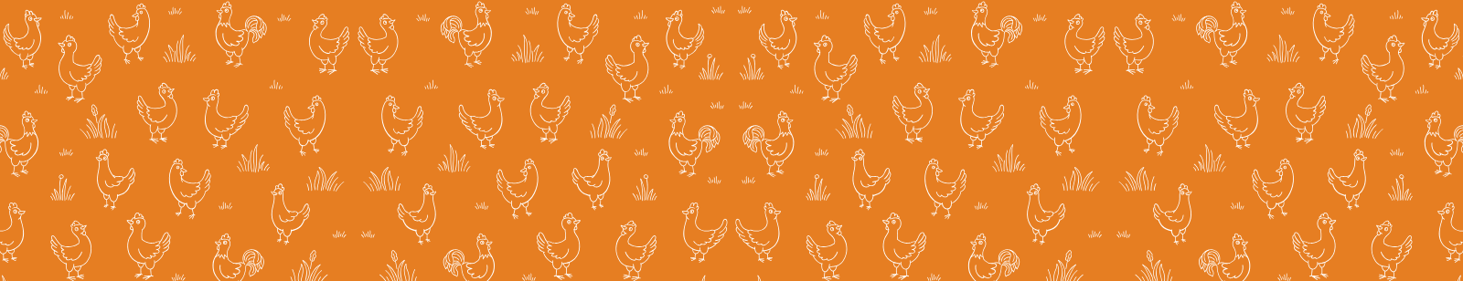 Contact Banner Background